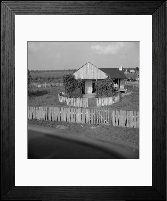 Framed Print : Cabin of sugarcane worker, Bayou La Fourche, Louisiana, 1937. Creator: Dorothea Lange Framed Print : Cabin of sugarcane worker, Bayou La Fourche, Louisiana, 1937. Creator: Dorothea Lange
