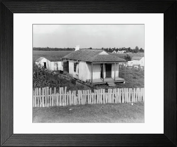Framed Print : Cabin of sugarcane worker, Bayou La Fourche, Louisiana, 1937. Creator: Dorothea Lange Framed Print : Cabin of sugarcane worker, Bayou La Fourche, Louisiana, 1937. Creator: Dorothea Lange