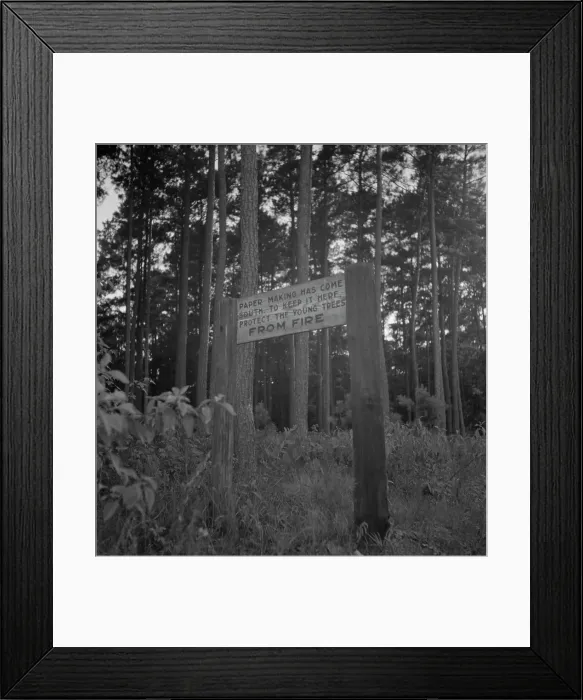 Framed Print : Roadsign, Fullerton, Louisiana, 1937. Creator: Dorothea Lange Framed Print : Roadsign, Fullerton, Louisiana, 1937. Creator: Dorothea Lange