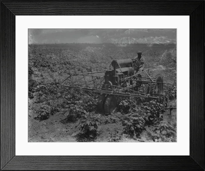 Framed Print : Tractor and integrated four-row cultivator, Aldridge Plantation, near Leland, Mississippi, 1937. Creator: Dorothea Lange Framed Print : Tractor and integrated four-row cultivator, Aldridge Plantation, near Leland, Mississippi, 1937. Creator: Dorothea Lange