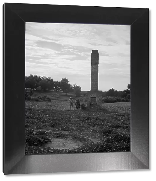 Standing chimneys, Greene County, Georgia, 1937. Creator: Dorothea Lange