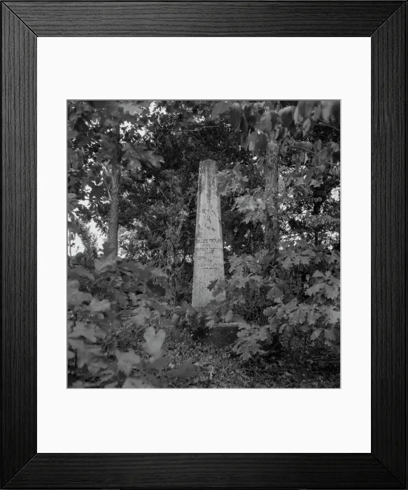 Framed Print : Family burial ground on the abandoned Pharr Plantation near Social Circle, Georgia, 1937. Creator: Dorothea Lange Framed Print : Family burial ground on the abandoned Pharr Plantation near Social Circle, Georgia, 1937. Creator: Dorothea Lange