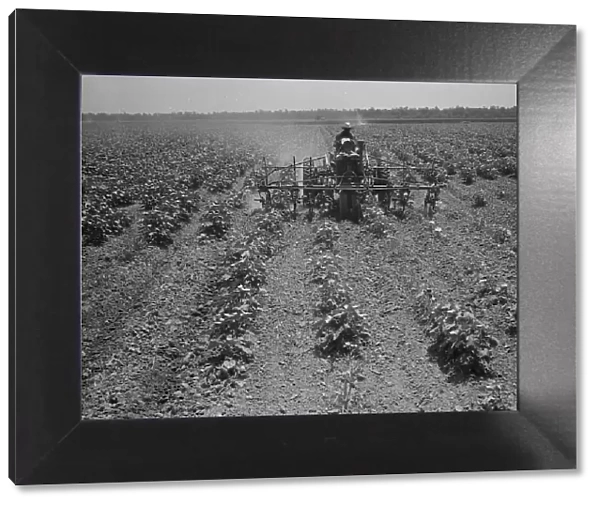 Tractor on the Aldridge Plantation, Mississippi, 1937. Creator: Dorothea Lange