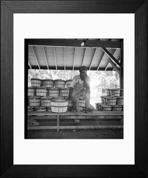 Framed Print : Migrant shed worker, Northeast Florida, 1936. Creator: Dorothea Lange Framed Print : Migrant shed worker, Northeast Florida, 1936. Creator: Dorothea Lange