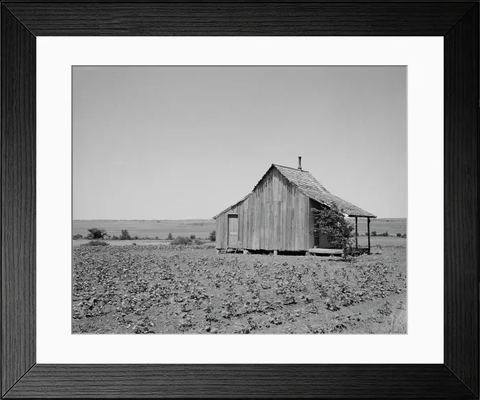 Framed Print : The cotton lands of Ellis County, Texas, 1937. Creator: Dorothea Lange Framed Print : The cotton lands of Ellis County, Texas, 1937. Creator: Dorothea Lange