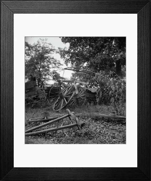 Framed Print : Abandoned coaches and wagons...old blacksmith shop, Wray Plantation, Greene County, Georgia, 1937. Creator: Dorothea Lange Framed Print : Abandoned coaches and wagons...old blacksmith shop, Wray Plantation, Greene County, Georgia, 1937. Creator: Dorothea Lange