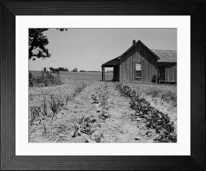 Framed Print : House of ex-tenant farmer now on reliefEllis County, Texas, 1937. Creator: Dorothea Lange Framed Print : House of ex-tenant farmer now on reliefEllis County, Texas, 1937. Creator: Dorothea Lange