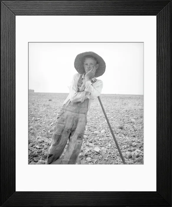 Framed Print : Hoe culture in the South - poor white, North Carolina, 1936. Creator: Dorothea Lange Framed Print : Hoe culture in the South - poor white, North Carolina, 1936. Creator: Dorothea Lange
