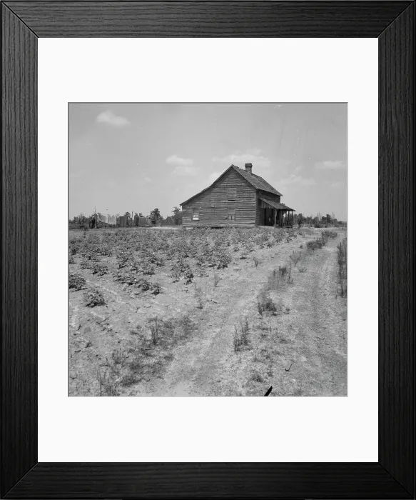 Framed Print : House of cotton sharecropper (white) near Gaffney, South Carolina, 1937. Creator: Dorothea Lange