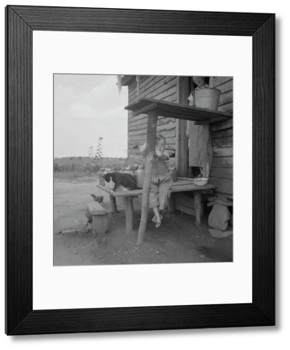 Framed Print : Child of sharecropper, near Gaffney, South Carolina, 1937. Creator: Dorothea Lange Framed Print : Child of sharecropper, near Gaffney, South Carolina, 1937. Creator: Dorothea Lange