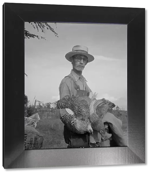 Farmer who has just moved into impoverished Greene County, Georgia from the Georgia hills, 1937. Creator: Dorothea Lange