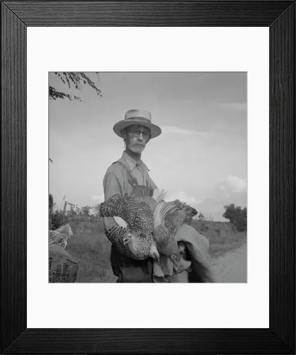 Framed Print : Farmer who has just moved into impoverished Greene County, Georgia from the Georgia hills, 1937. Creator: Dorothea Lange
