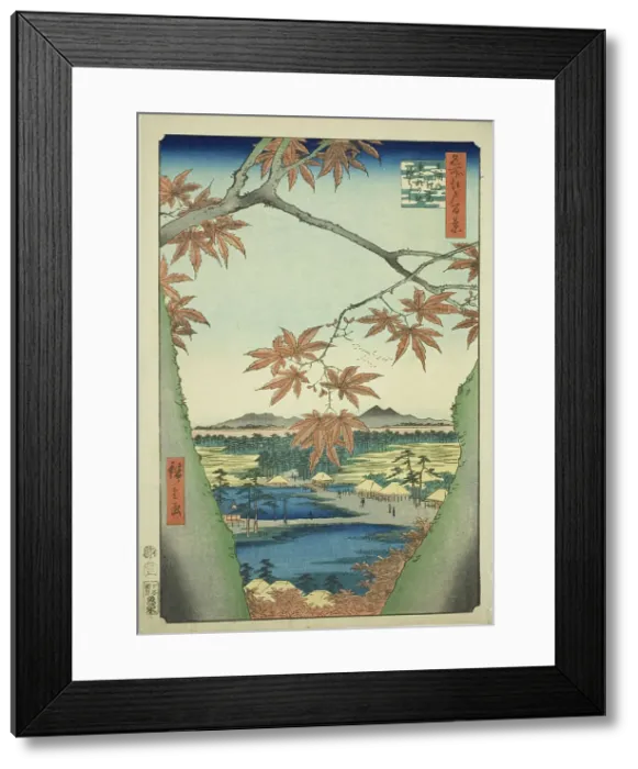 Framed Print : Maple Trees at Mama, Tekona Shrine and Tsugi Bridge (Mama no momiji, Tekona no yashiro, Ts... 1857. Creator: Ando Hiroshige) Framed Print : Maple Trees at Mama, Tekona Shrine and Tsugi Bridge (Mama no momiji, Tekona no yashiro, Ts... 1857. Creator: Ando Hiroshige)
