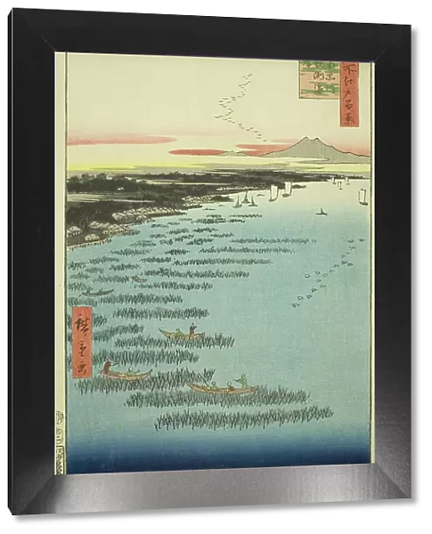Samezu Coast in South Shinagawa (Minami-Shinagawa Samezu kaigan), from the series 'One Hundred Famou Creator: Ando Hiroshige. Samezu Coast in South Shinagawa (Minami-Shinagawa Samezu kaigan)