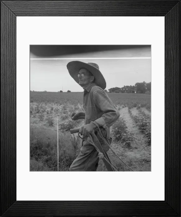 Framed Print : South Carolina sharecropper, 1937. Creator: Dorothea Lange Framed Print : South Carolina sharecropper, 1937. Creator: Dorothea Lange