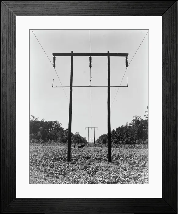 Framed Print : Rural electrification in Pulaski County, Arkansas, 1938. Creator: Dorothea Lange Framed Print : Rural electrification in Pulaski County, Arkansas, 1938. Creator: Dorothea Lange