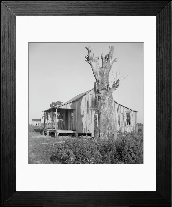 Framed Print : Plantation cabin of sharecropper, Washington County, Mississippi, 1937. Creator: Dorothea Lange Framed Print : Plantation cabin of sharecropper, Washington County, Mississippi, 1937. Creator: Dorothea Lange