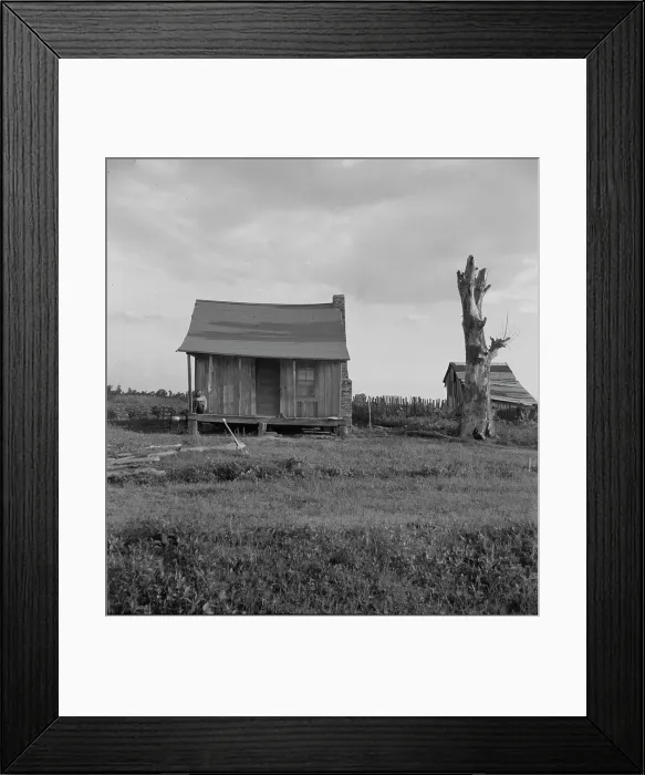 Framed Print : Plantation cabin of sharecropper, Washington County, Mississippi, 1937. Creator: Dorothea Lange Framed Print : Plantation cabin of sharecropper, Washington County, Mississippi, 1937. Creator: Dorothea Lange