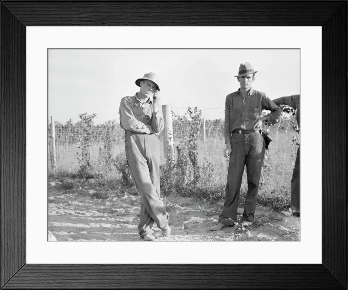 Framed Print : FSA cooperative farm, Lake Dick, Arkansas, 1939. Creator: Dorothea Lange Framed Print : FSA cooperative farm, Lake Dick, Arkansas, 1939. Creator: Dorothea Lange