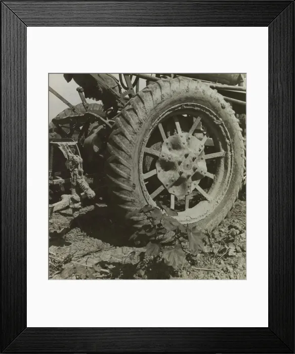 Framed Print : The tractor is driving cotton workers off the land, Aldridge Plantation, Mississippi Delta, 1937. Creator: Dorothea Lange Framed Print : The tractor is driving cotton workers off the land, Aldridge Plantation, Mississippi Delta, 1937. Creator: Dorothea Lange