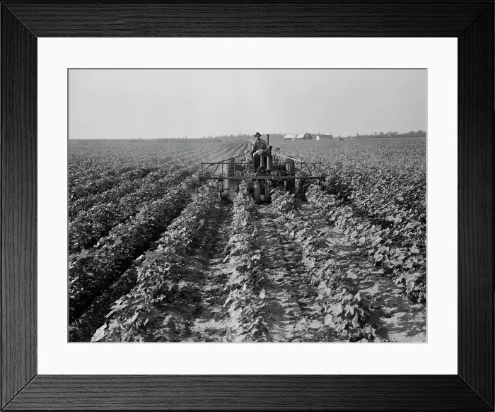 Framed Print : Tractors on Lake Dick project, Arkansas, 1938. Creator: Dorothea Lange Framed Print : Tractors on Lake Dick project, Arkansas, 1938. Creator: Dorothea Lange