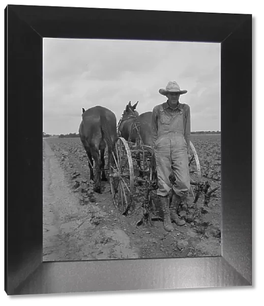 Ex-tenant farmer, now a day laborer on large cotton farm near Corsicana, Texas, 1937. Creator: Dorothea Lange