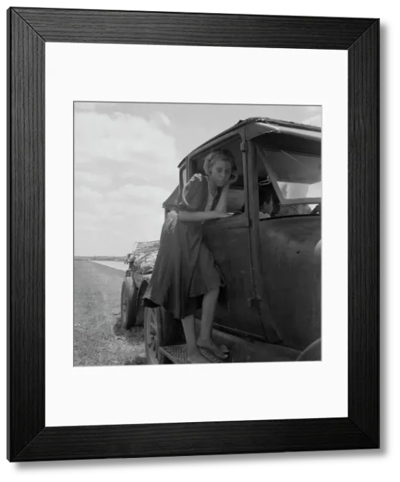 Framed Print : Child of Texas migrant family who follow the cotton crop, 1937. Creator: Dorothea Lange Framed Print : Child of Texas migrant family who follow the cotton crop, 1937. Creator: Dorothea Lange