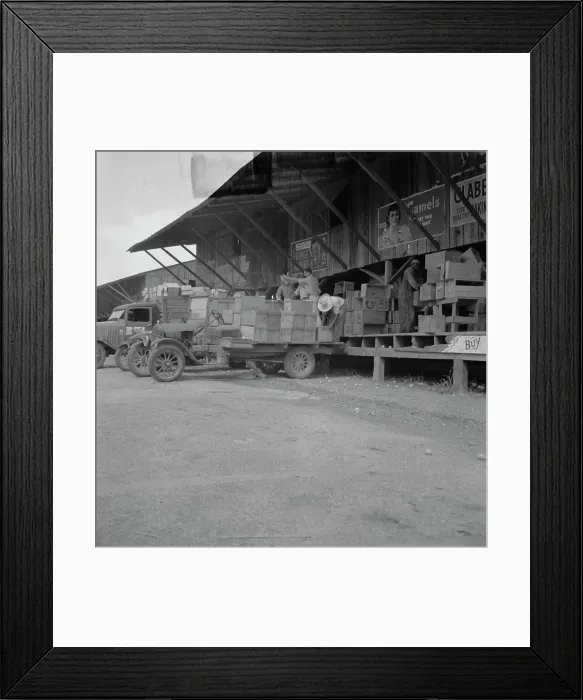 Framed Print : Tomato packing shed for packing and shipment north, Hazelhurst, Mississippi, 1937. Creator: Dorothea Lange Framed Print : Tomato packing shed for packing and shipment north, Hazelhurst, Mississippi, 1937. Creator: Dorothea Lange