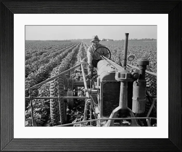 Framed Print : Tractor on Lake Dick project, Arkansas, 1938. Creator: Dorothea Lange Framed Print : Tractor on Lake Dick project, Arkansas, 1938. Creator: Dorothea Lange