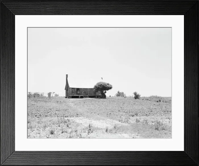 Framed Print : White sharecropper's home, near Cleveland, Mississippi, 1937. Creator: Dorothea Lange Framed Print : White sharecropper's home, near Cleveland, Mississippi, 1937. Creator: Dorothea Lange