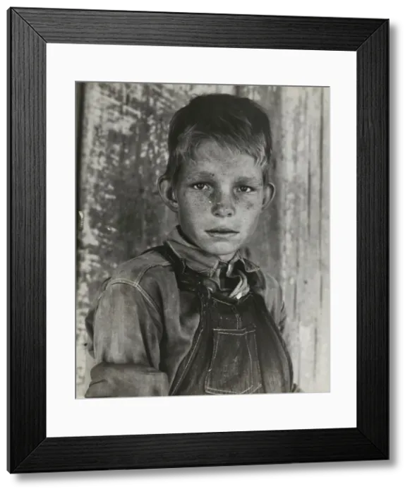 Framed Print : Twelve year old son of a cotton sharecropper near Cleveland, Mississippi, 1937. Creator: Dorothea Lange Framed Print : Twelve year old son of a cotton sharecropper near Cleveland, Mississippi, 1937. Creator: Dorothea Lange