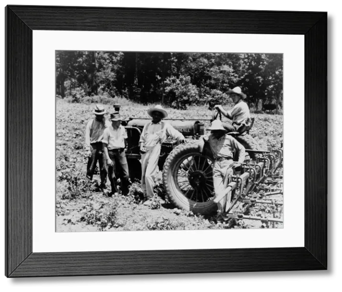 Framed Print : Hillhouse, Mississippi Delta cooperative farm, 1937. Creator: Dorothea Lange Framed Print : Hillhouse, Mississippi Delta cooperative farm, 1937. Creator: Dorothea Lange