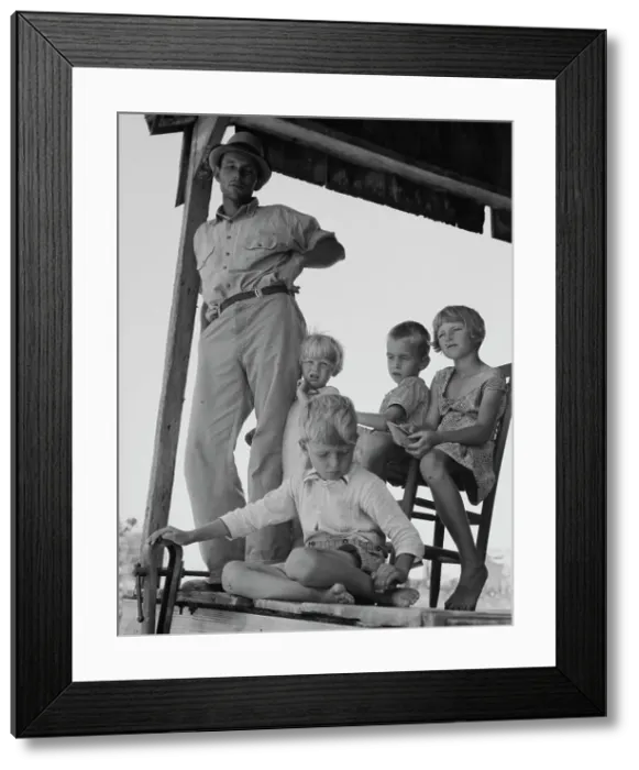 Framed Print : Cotton sharecropper family near Cleveland, Mississippi, 1937. Creator: Dorothea Lange Framed Print : Cotton sharecropper family near Cleveland, Mississippi, 1937. Creator: Dorothea Lange