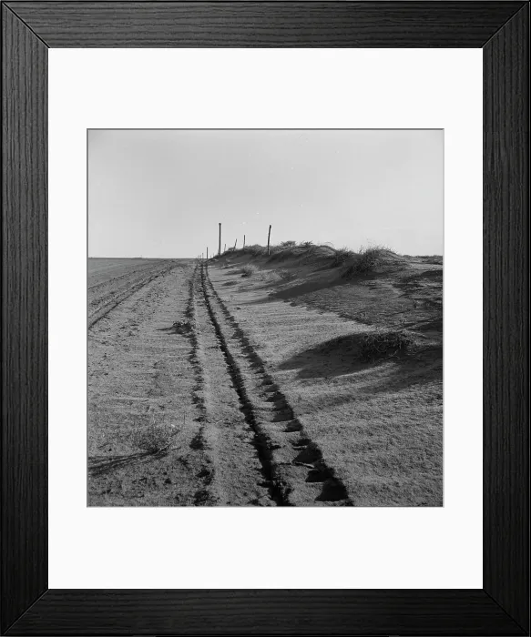 Framed Print : Sand drift along fence, Dust Bowl, north of Dalhart, Texas, 1938. Creator: Dorothea Lange Framed Print : Sand drift along fence, Dust Bowl, north of Dalhart, Texas, 1938. Creator: Dorothea Lange