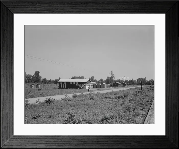 Framed Print : Approach to the Delta cooperative farm from highway, Hillhouse, Mississippi, 1937. Creator: Dorothea Lange Framed Print : Approach to the Delta cooperative farm from highway, Hillhouse, Mississippi, 1937. Creator: Dorothea Lange