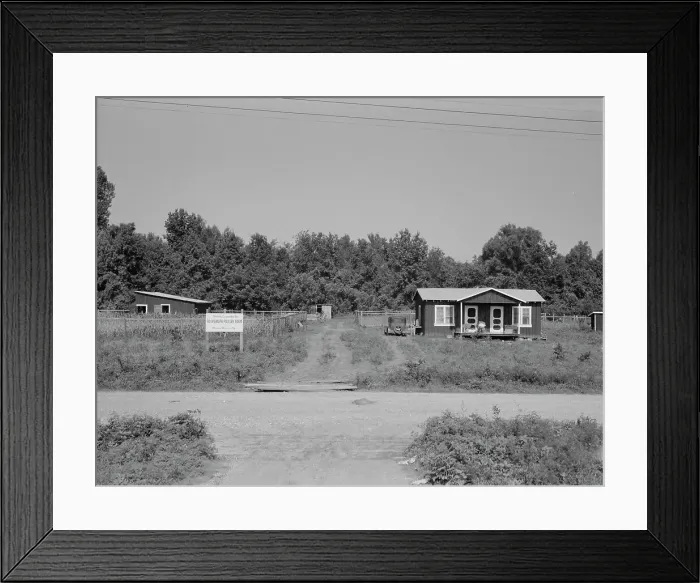 Framed Print : The poultry unit of the Delta cooperative farm, Hillhouse, Mississippi, 1937. Creator: Dorothea Lange Framed Print : The poultry unit of the Delta cooperative farm, Hillhouse, Mississippi, 1937. Creator: Dorothea Lange