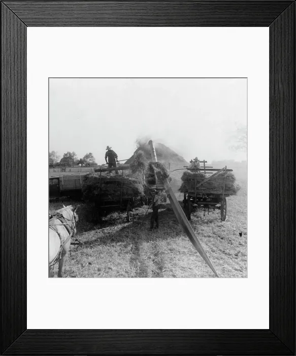 Framed Print : The threshing of oats, Clayton, Indiana, south of Indianapolis, 1936. Creator: Dorothea Lange Framed Print : The threshing of oats, Clayton, Indiana, south of Indianapolis, 1936. Creator: Dorothea Lange