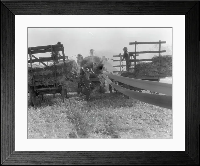 Framed Print : The threshing of oats, Clayton, Indiana, south of Indianapolis, 1936. Creator: Dorothea Lange Framed Print : The threshing of oats, Clayton, Indiana, south of Indianapolis, 1936. Creator: Dorothea Lange