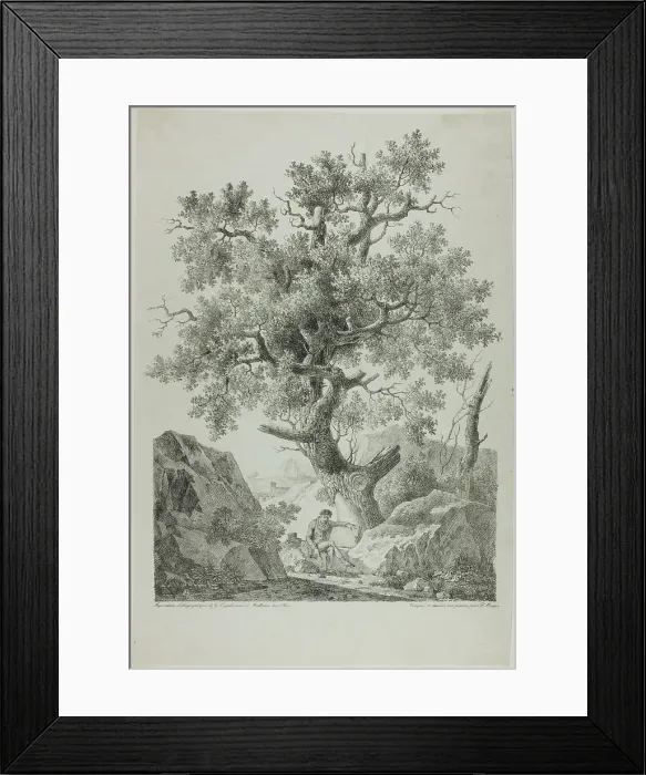 Framed Print : Artist in a Rocky Landscape, 1816. Creator: Pierre Antoine Mongin Framed Print : Artist in a Rocky Landscape, 1816. Creator: Pierre Antoine Mongin