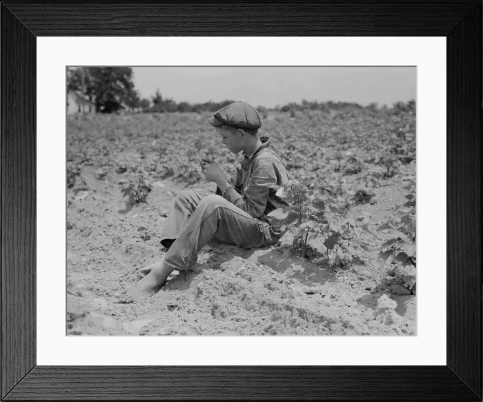 Framed Print : Sharecropper boy near Chesnee, South Carolina, 1937. Creator: Dorothea Lange Framed Print : Sharecropper boy near Chesnee, South Carolina, 1937. Creator: Dorothea Lange