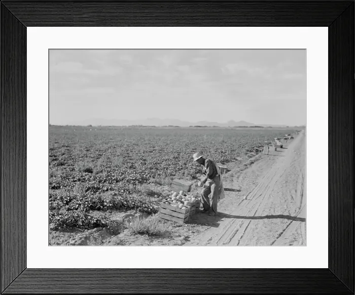 Framed Print : Mexican cantaloupe worker at 5:00 am, Imperial Valley, California, 1938. Creator: Dorothea Lange Framed Print : Mexican cantaloupe worker at 5:00 am, Imperial Valley, California, 1938. Creator: Dorothea Lange