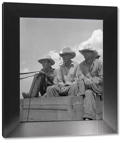 Arkansas sharecroppers going home, Near Blytheville, Arkansas, 1936. Creator: Dorothea Lange