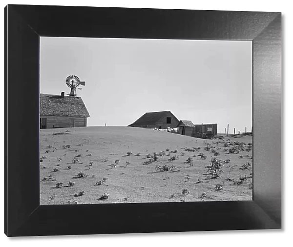 Dust Bowl farm, Coldwater District, near Dalhart, Texas, 1938. Creator: Dorothea Lange
