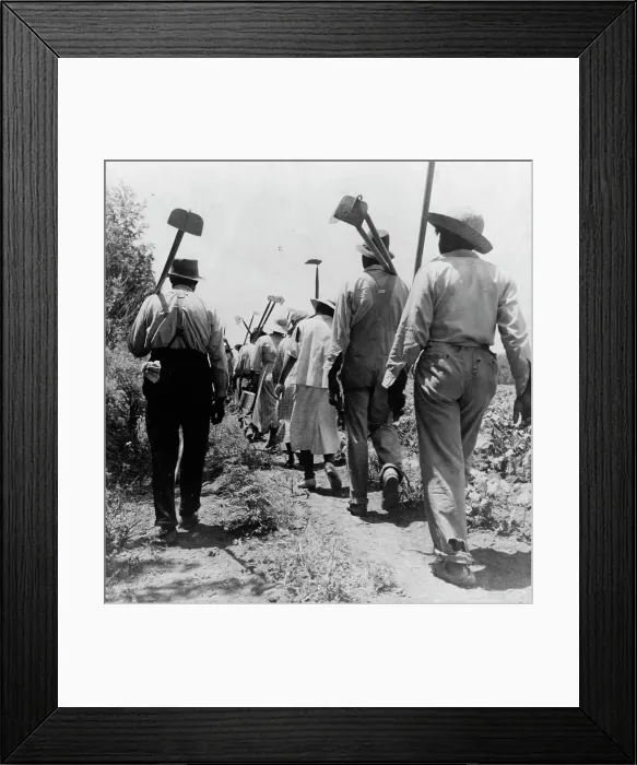 Framed Print : These cotton hoers work from 6 am to 7 pm for one dollar near Clarksdale, Mississippi, 1937. Creator: Dorothea Lange Framed Print : These cotton hoers work from 6 am to 7 pm for one dollar near Clarksdale, Mississippi, 1937. Creator: Dorothea Lange