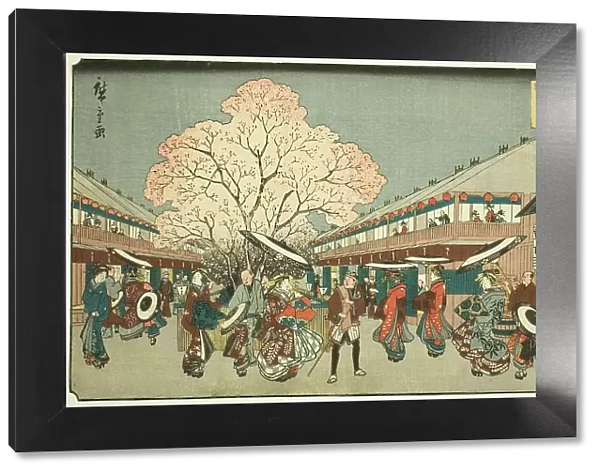Cherry Blossom Day on the Nakanocho of the Yoshiwara (Yoshiwara Nakanocho Sakura... c. 1840 / 58. Creator: Ando Hiroshige)
