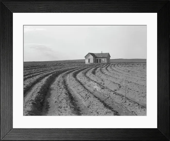 Framed Print : Power farming displaces tenants from the land... Childress County, Texas Panhandle, 1938. Creator: Dorothea Lange Framed Print : Power farming displaces tenants from the land... Childress County, Texas Panhandle, 1938. Creator: Dorothea Lange