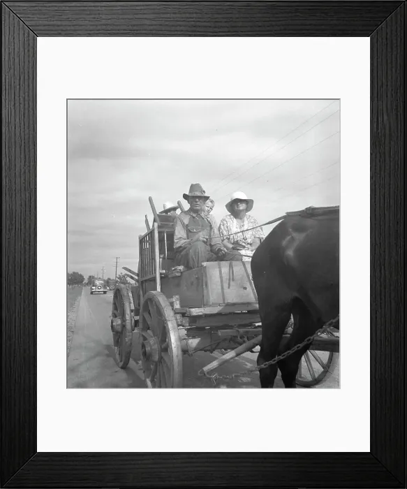 Framed Print : Moving day on the Delta cotton lands, Arkansas, 1936. Creator: Dorothea Lange Framed Print : Moving day on the Delta cotton lands, Arkansas, 1936. Creator: Dorothea Lange