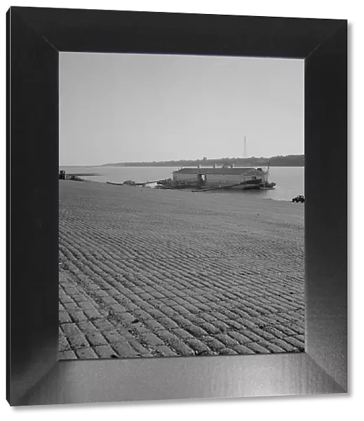 The municipal levee at Greenville, Mississippi, 1937. Creator: Dorothea Lange