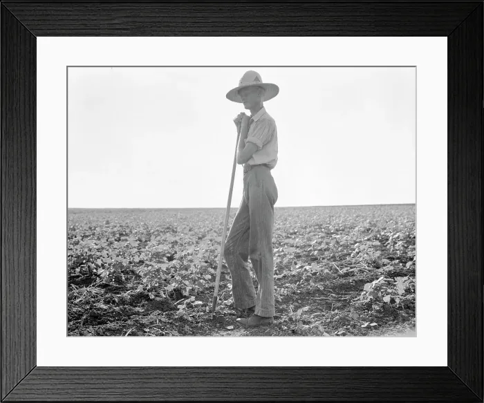 Framed Print : The long line of Texas, Near Dallas, 1936. Creator: Dorothea Lange