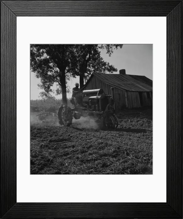 Framed Print : Tractor and driver on the Aldridge Plantation, Mississippi, 1937. Creator: Dorothea Lange Framed Print : Tractor and driver on the Aldridge Plantation, Mississippi, 1937. Creator: Dorothea Lange
